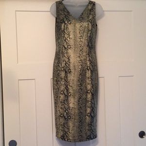 Stylish python snakeskin sheath/cocktail